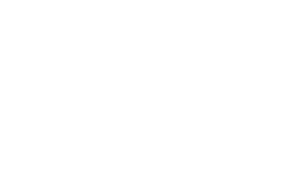 SMA Consulting